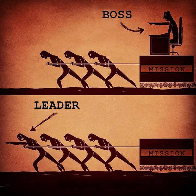 lead dev